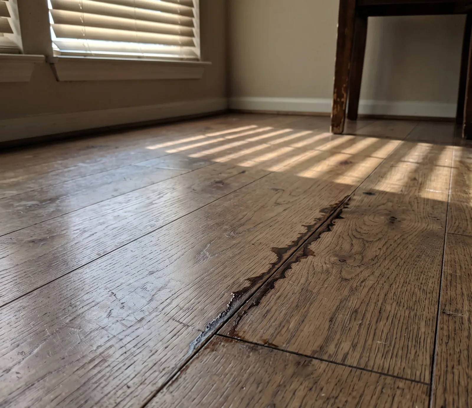 Hardwood Floor Water Extraction service in Lakeville, MN